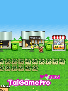 Taigamepro.Com